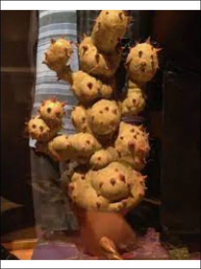 Botanique : 
Quelle est la faculté médicinale du pus de Bubobuld traité ?