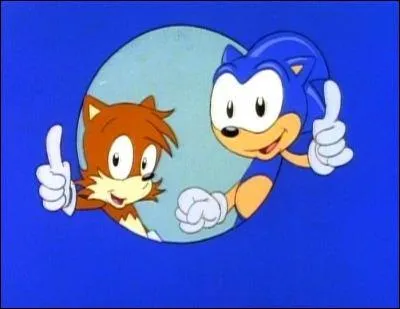(Les Aventures de Sonic) Comment s'appelle le meilleur ami de Sonic ?