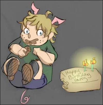 Quel est le statut de sang de Dudley ?