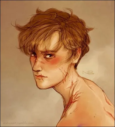 Quel est le statut de sang de Lupin ?