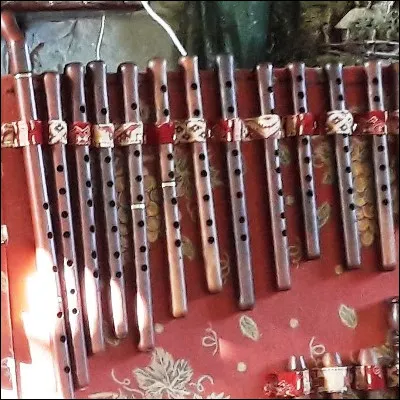 Quel arbre fruitier, dont le bois est utilisé pour certains instruments de musique traditionnels du Caucase, donne un fruit utilisé pour fabriquer la liqueur appelée noyau de Poissy ?