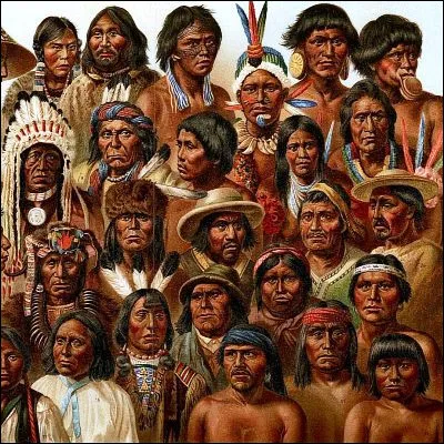 Quel objet utilisé dabord par les Amérindiens et importé ensuite en Europe est collectionné par un buxidanicophile ?