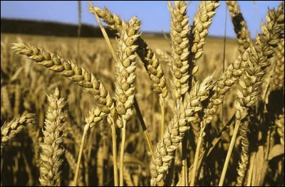 Pour Fr&eacute;d&eacute;ric Beigbeder, combien dure l'Amour ?