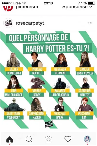 Et dernière question, es-tu un personnage féminin ou masculin de lunivers Harry Potter ?