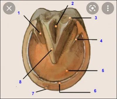 Qu�est-ce que le 6 ?