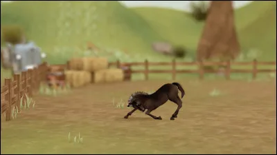 Que fait le poulain ?