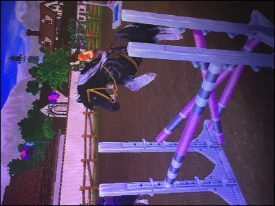 Comment s�appelle cet obstacle ?