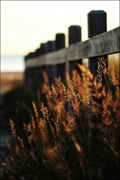 En quelle année Jean Chrétien devient-il Premier ministre du Canada ?