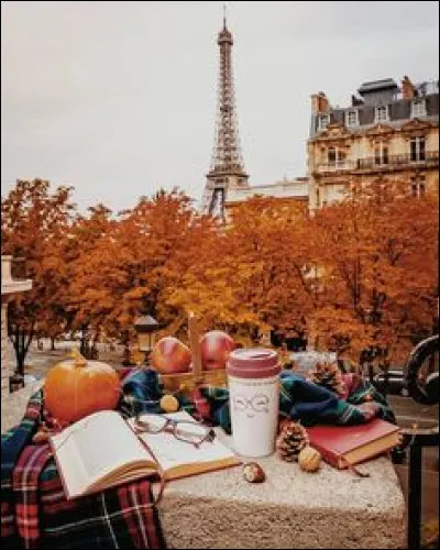 Quel jour de novembre a été marqué, en 2015, par des attentats terroristes en France ?