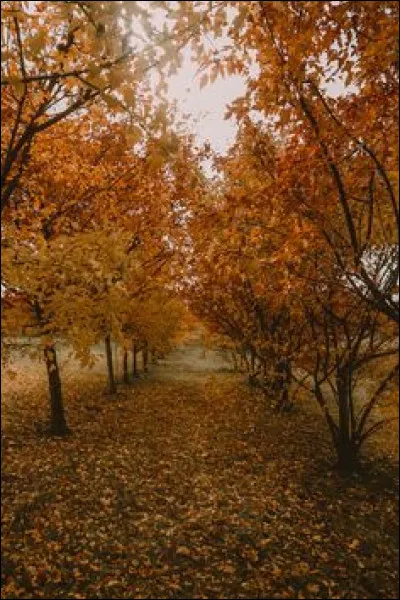 Quel titre de Michael Jackson est sorti en novembre 83 ?