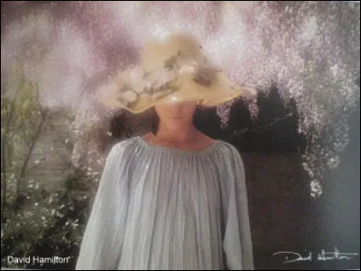 À quel poète doit-on ces premiers vers du poème "Mon rêve familier" : "Je fais souvent ce rêve étrange et pénétrant " ?