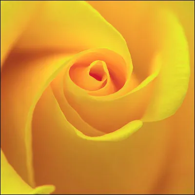 Cette couleur est…