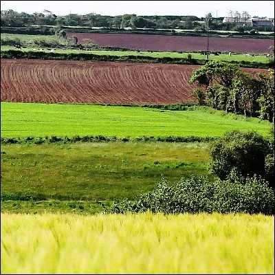 &Agrave; quel ministre royal attribue-t-on la phrase "Labourage et p&acirc;turage sont les deux mamelles dont la France est aliment&eacute;e" ?