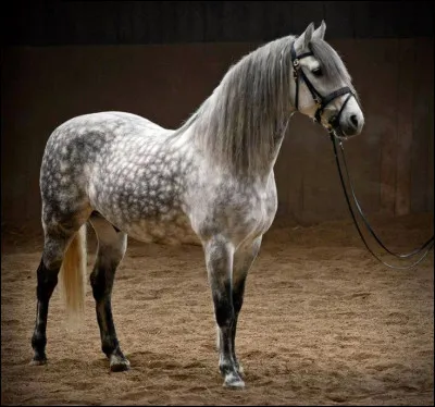 Quelle est cette robe ?