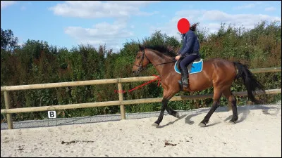 Quelle est cette robe ?