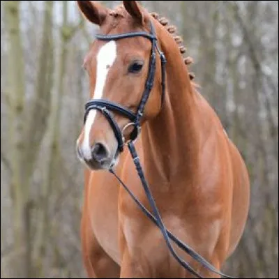 Quelle est cette robe ?