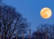 Test Es-tu plutt nuit ou jour ?
