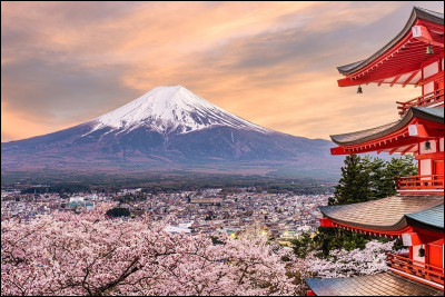 Quelle nourriture japonaise aimes-tu le plus ?
