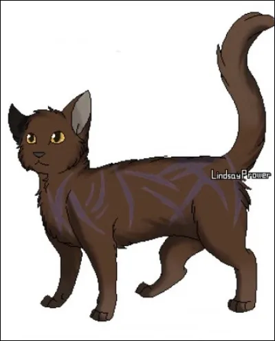 Où se trouve Pelage de Fourmi ?