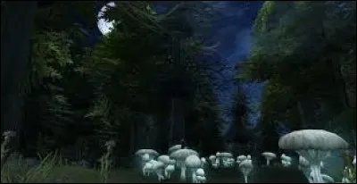 Sur limage, de quel endroit est ce territoire ?