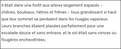Quel lieu décrit le narrateur dans ce texte ?