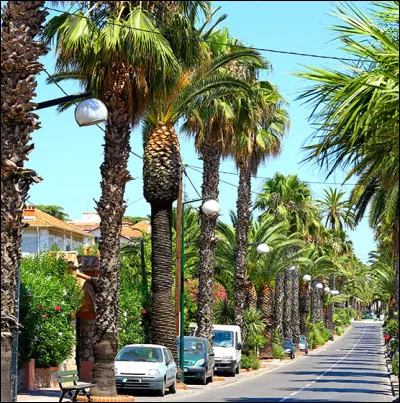 Elle devenue, depuis 1830, une destination touristique et une station climatique d'hiver, réputée pour ses cures thermales. Elle est aussi le berceau de l'acclimatation de plantes exotiques et notamment du palmier :