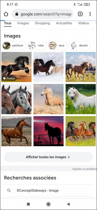 Quelle est ta couleur préférée ?