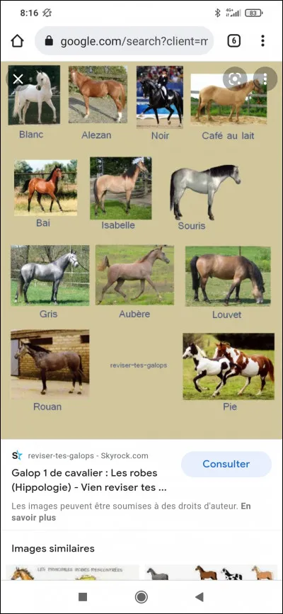 Ta robe préférée est :