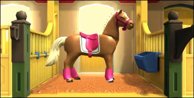 Où veux-tu monter à cheval ?