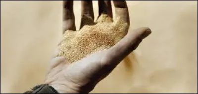 Comment s'appelle cette masse orangée ?