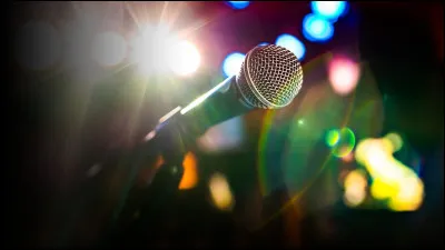 &Agrave; qui doit-on la chanson "Mademoiselle l'aventure", que l'on retrouve sur l'album "Des roses et des orties" (2008) ?