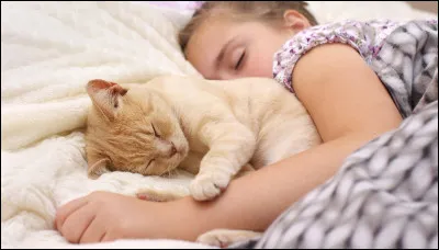 Ton chat dort-il avec toi ?