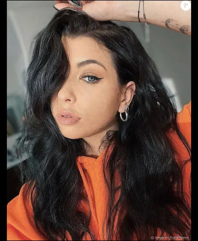 Quel est le nom de la blogueuse EnjoyPhoenix ?