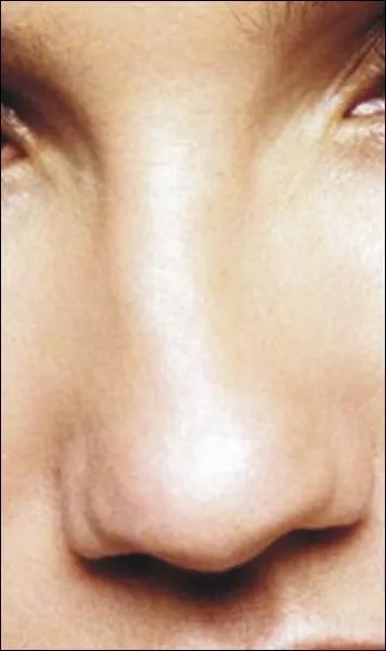 A qui appartient ce nez ?