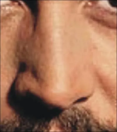 A qui appartient ce nez ?