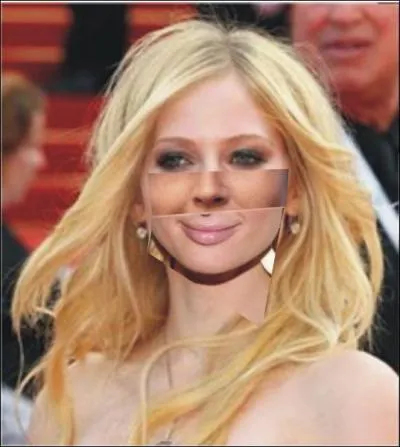 A qui est ce visage (cheveux et yeux) ce nez et cette bouche, dans ce mme ordre ?