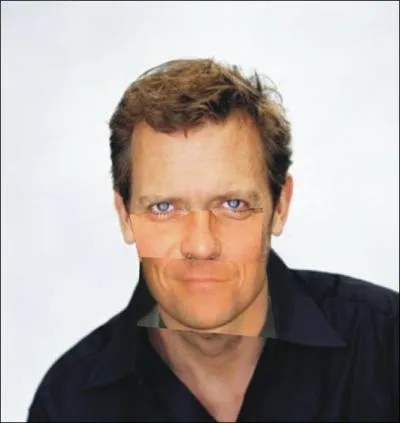 A qui est ce visage (cheveux et yeux) ce nez et cette bouche, dans ce mme ordre ?