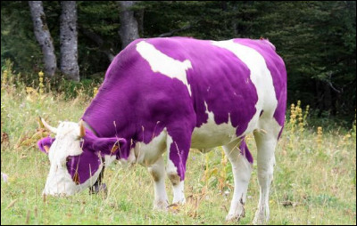 À quelle marque commerciale, cette vache fait-elle référence ?
