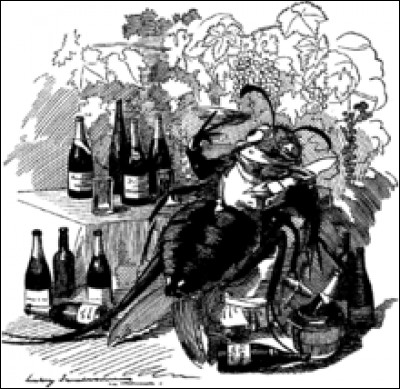 Par quelle crise le vignoble français est-il dévasté à partir de la fin des années 1870 ?
