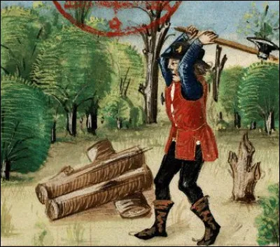 Selon l'expression, après quoi ne faut-il pas "jeter le manche" ?