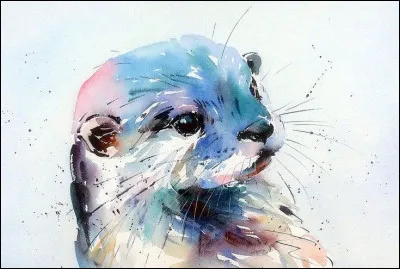 Ta couleur préférée est le