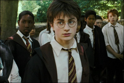 Quelle est la forme de la cicatrice de Harry Potter ?