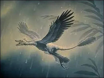 Quelle est la particularité du dinosaure " Microraptor gui" vieux de 120 millions d'années ?