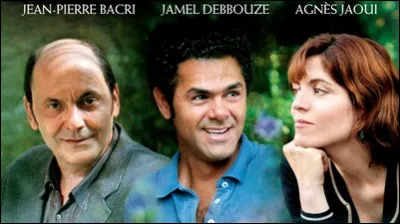 Quel est le titre de ce film réalisé en 2008 par Agnès Jaoui, avec Jean-Pierre Bacri et Jamel Debbouze ?