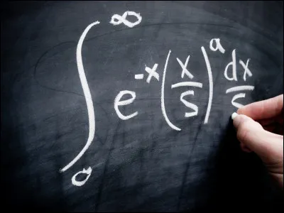 Comment calculer l'âge d'un chat ?