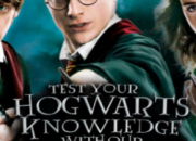Test  quelle maison ''Harry Potter'' appartiens-tu ?