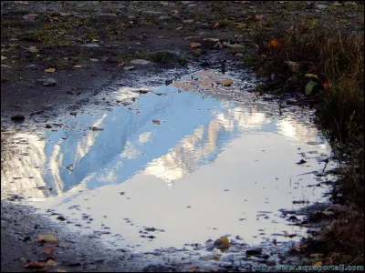 Comment dit-on "la flaque" ?