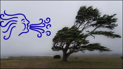 Comment dit-on "le vent" ?