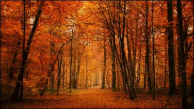 Comment dit-on "lautomne" ?