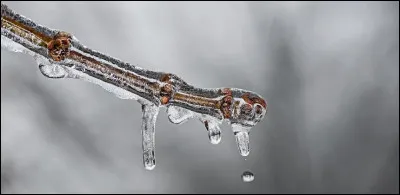 Comment dit-on "geler" ?